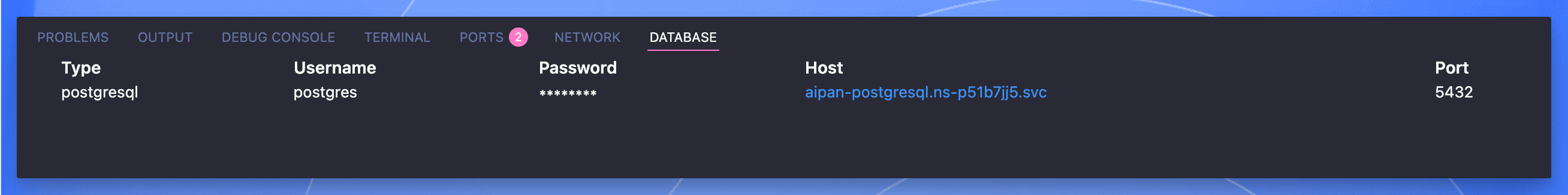 VS Code 中显示的数据库连接信息