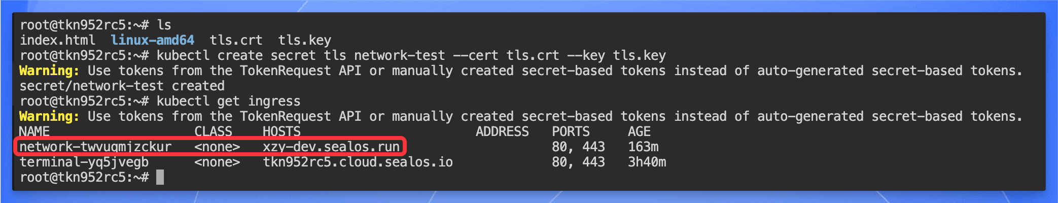 Sealos 创建 TLS Secret 界面