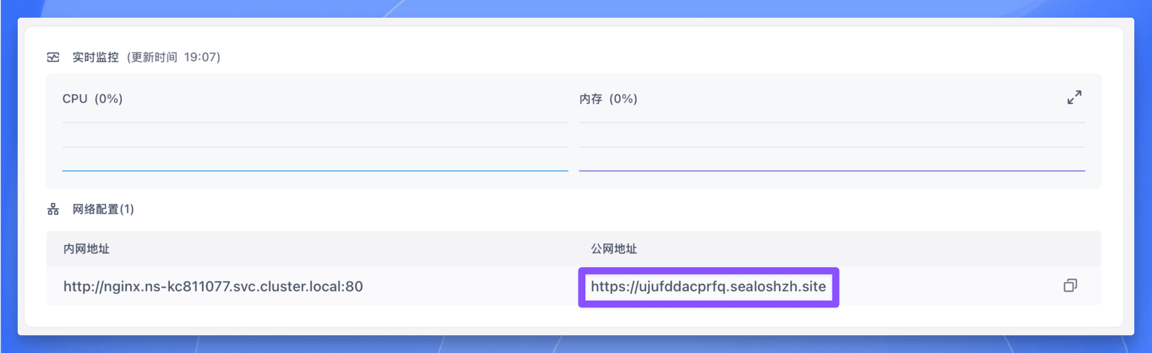 Sealos Nginx 访问地址
