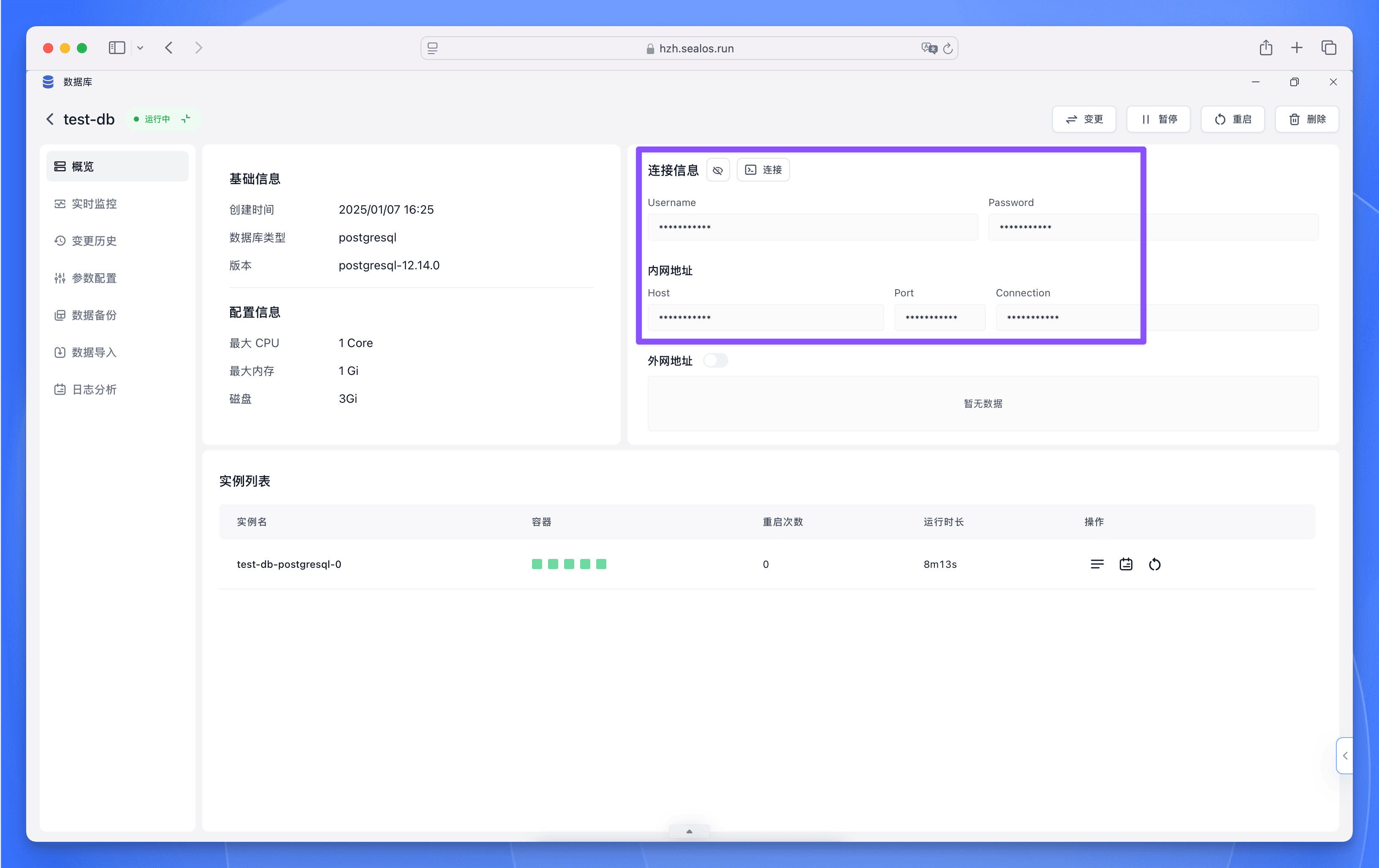 PostgreSQL 数据库连接信息界面，显示数据库访问凭证和连接参数